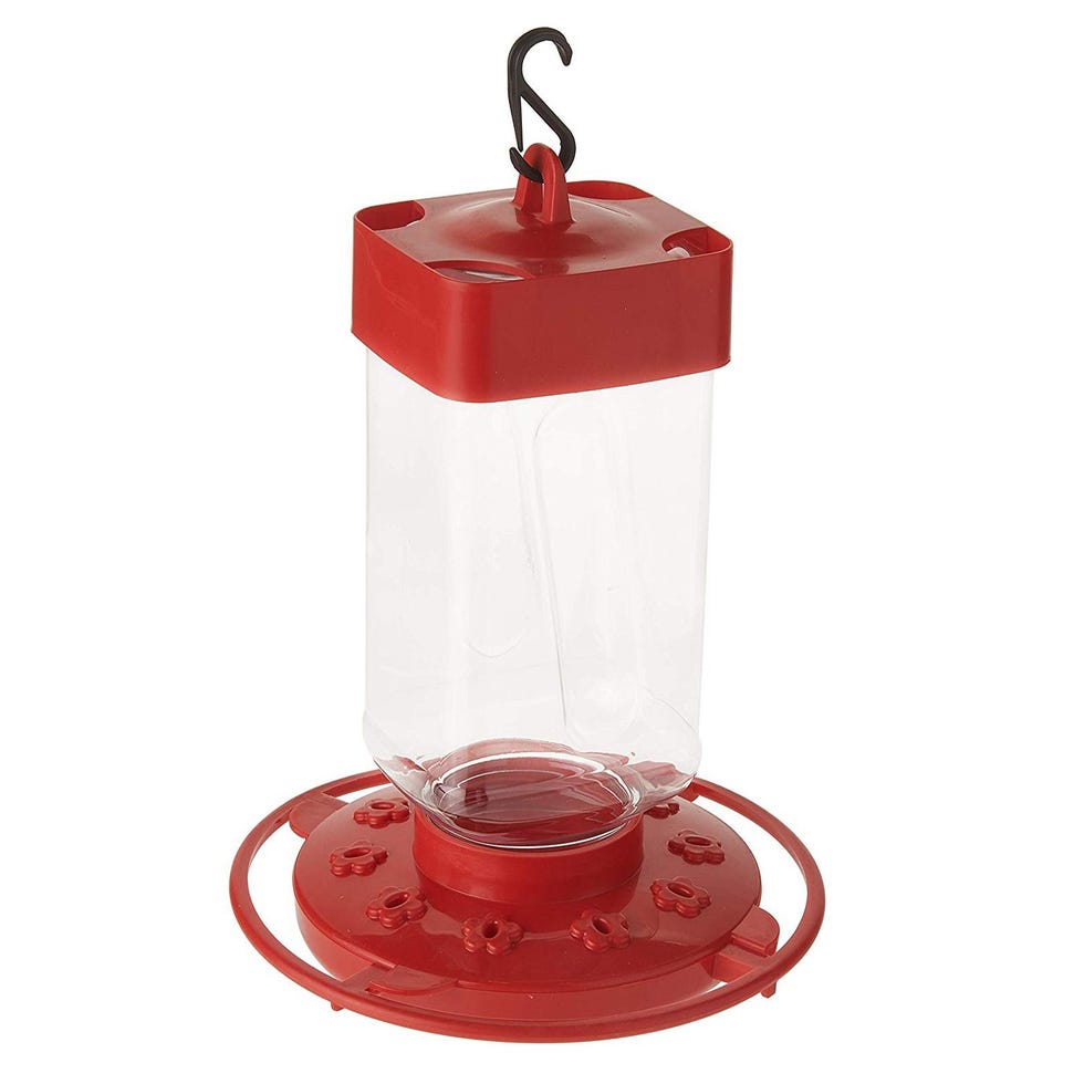 8 Best Hummingbird Feeders, Reviewed and Rated