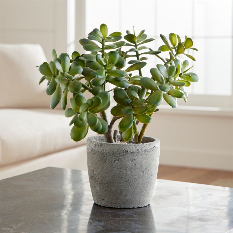 Potted Artificial Jade Plant