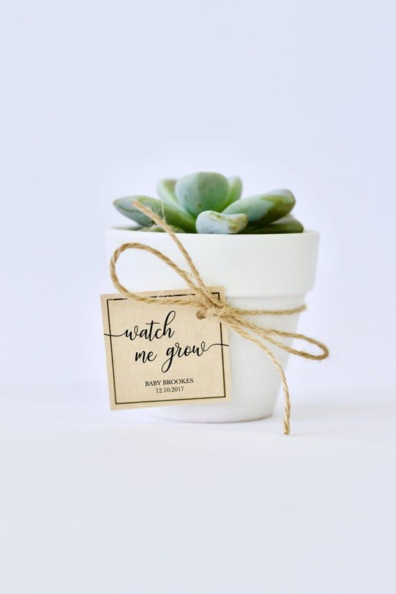 baby shower gifts for guests