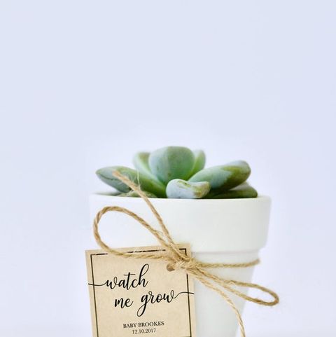25 Baby Shower Favors What To Give Guests At Baby Showers