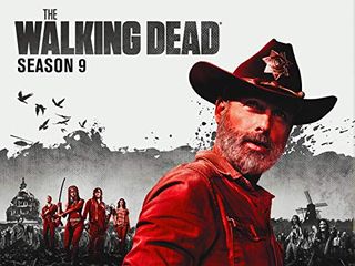 The Walking Dead - Saison 9 (streaming)