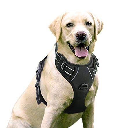 No-Pull Pet Harness 