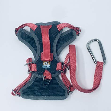Kurgo Journey Multi-Use Dog Harness