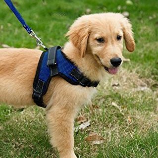 Copatchy No Pull Reflective Adjustable Dog Harness