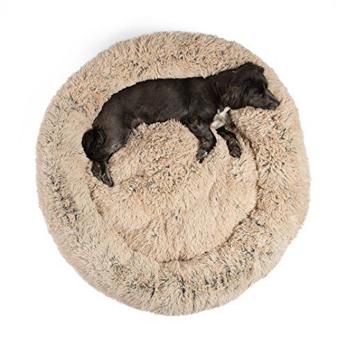 best friends dog bed