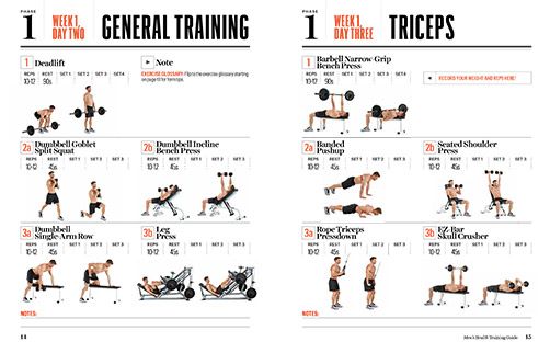 Biceps Workout Chart Step By Step