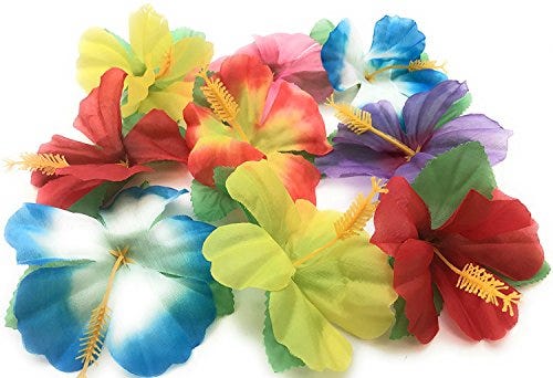Hibiscus Flowers 