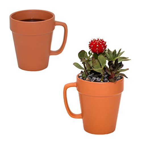 Ceramic Flower Pot and Mug