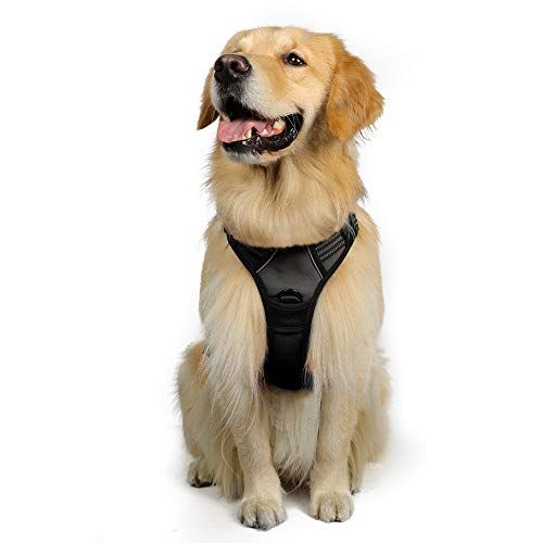 step in dog harness facts