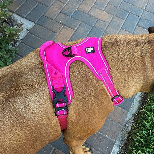 Chai's Choice Outdoor Adventure Dog Harness 