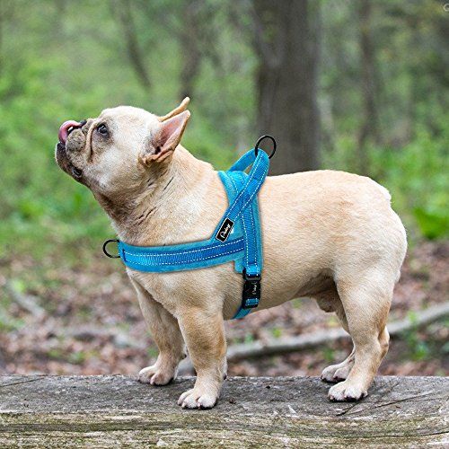 L, Brown Free Leash Included No Pull Dog Harness Best for Training Walking for Small Medium Large Dog Breathable Adjustable Comfort 