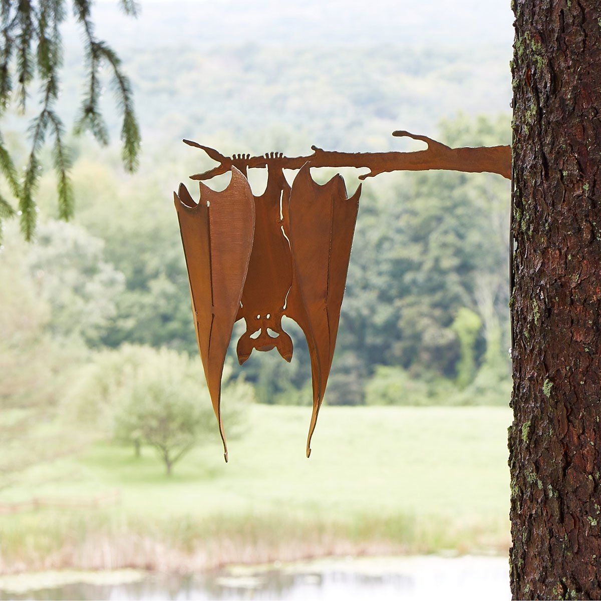 Bat On A Branch Bat On A Branch