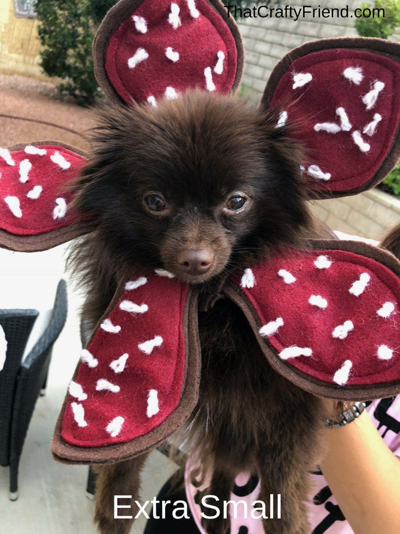 A 'Stranger Things' Season Three Demogorgon Dog Costume ...