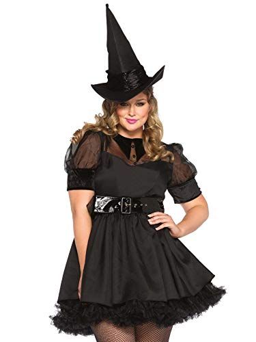 Plus size outlet fancy dress costume