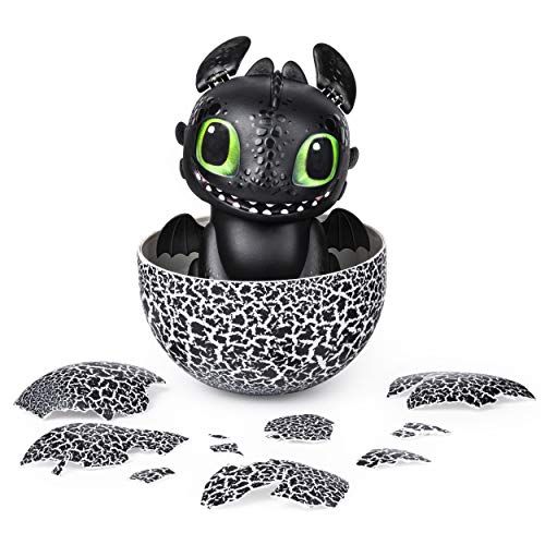 Hatching Toothless Baby Dragon