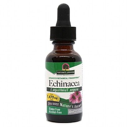 Nature's Answer Echinacea Root Alcohol Free (30ml)