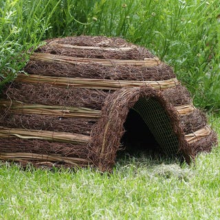 Igloo hedgehog home