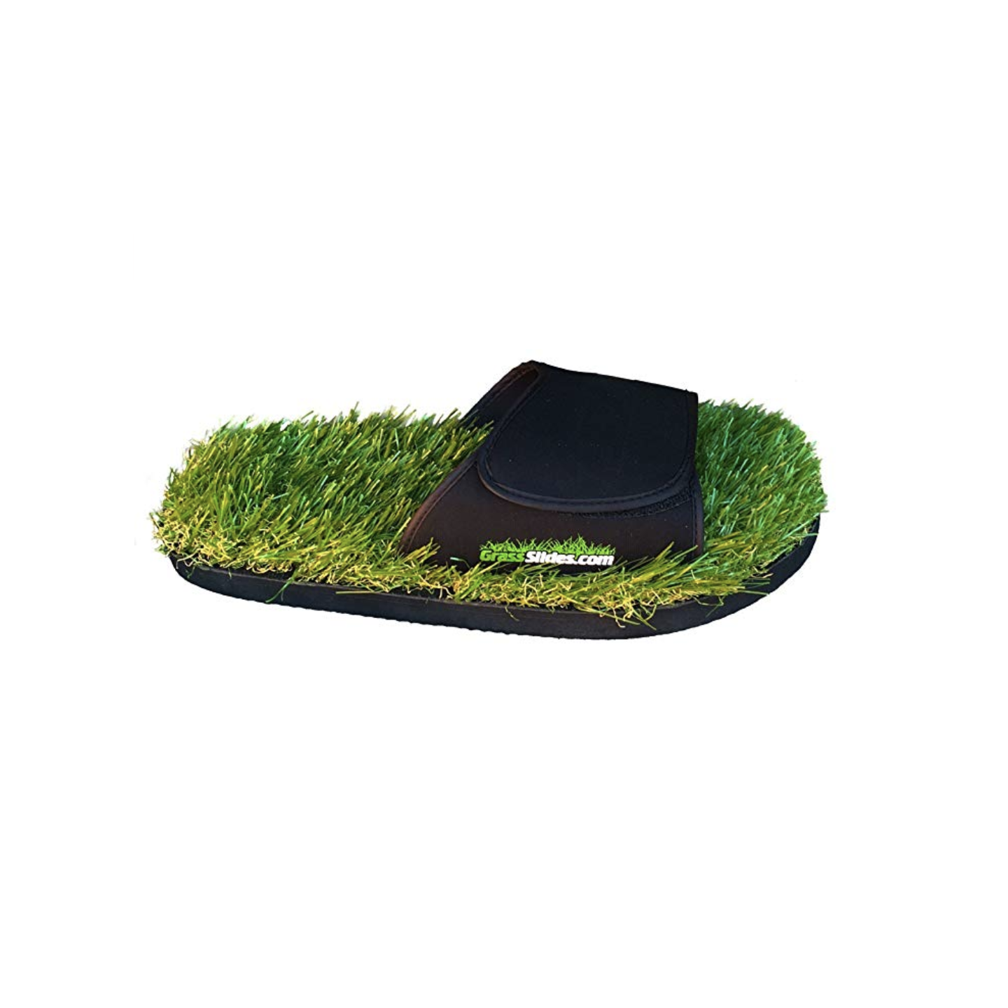 Grass Slides