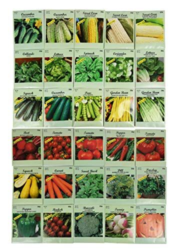 Variety Vegetable Seeds