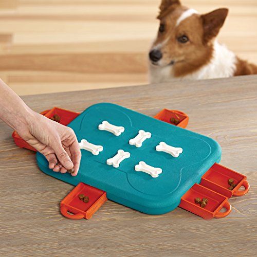 Dog Casino Puzzle Toy 