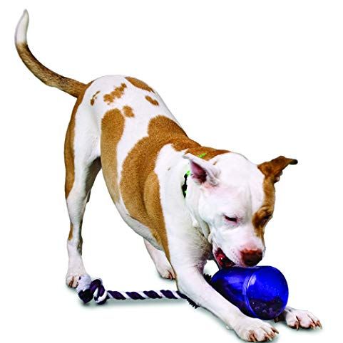 21 Dog Puzzle Toys That Will Make Your Pet Smarter