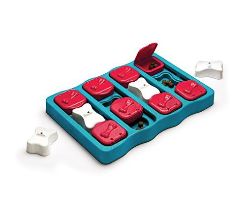 dog interactive puzzle toys