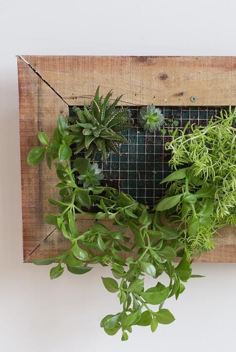 17 Indoor Herb Garden Ideas 2021 Kitchen Planters We Love - Wooden Wall Mounted Planters 17 Indoor Herb Garden Ideas 2021 Kitchen Planters We Love - Wooden Wall Mounted Planters
