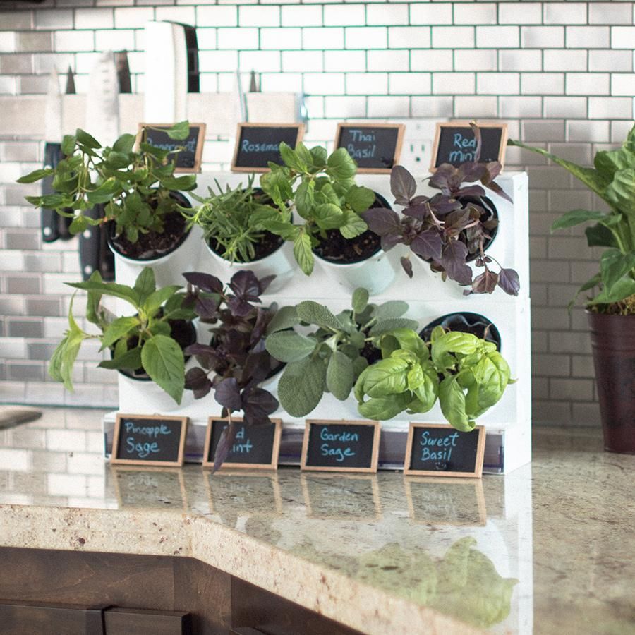 15 Indoor Herb Garden Ideas 2020 Kitchen Herb Planters We Love