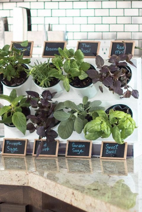 15 Indoor Herb Garden Ideas 2020 Kitchen Herb Planters We Love