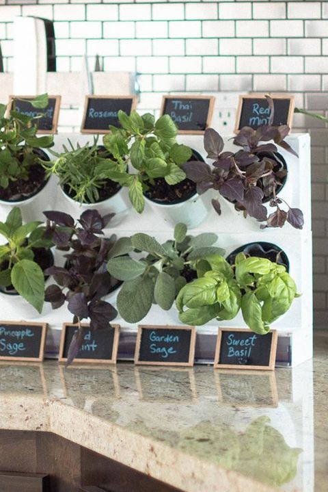 17 Indoor Herb Garden Ideas 2022, Tabletop Herb Garden Planter