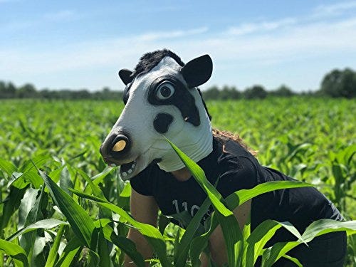 Cow Mask
