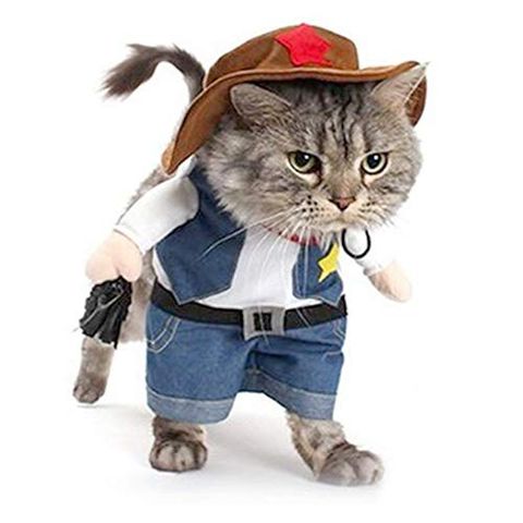 21 Best Halloween Costumes for Cats 2021  Cute Cat Halloween Costume Ideas