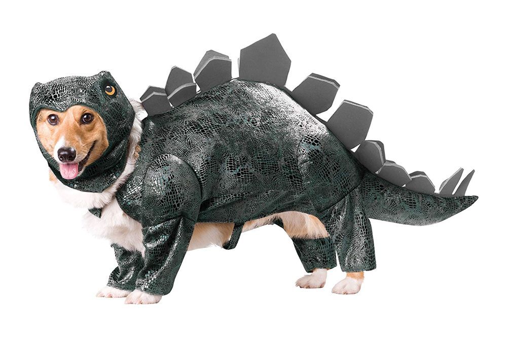 toy story rex dog costume