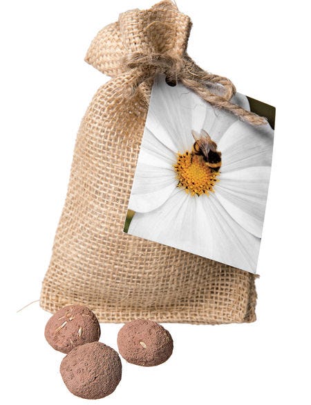  Société d'Approvisionnement du Jardinier Bee Pollinisateur Seed Balls 