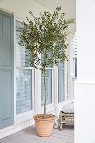 10 Best Artificial Plants 2021, Best Artificial Trees For Outdoors Uk