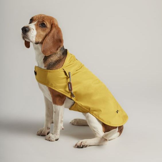 Rain Jacket Water Resistant Pet Coat