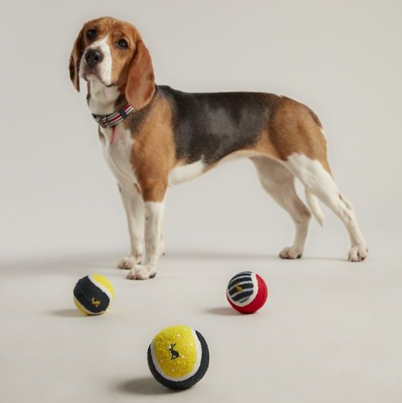 3 Pk Rubber Balls Pet Toy