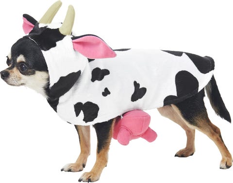 28 Best Costumes For Dogs 28 Best Costumes For Dogs