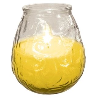 Bougie extérieure à la citronnelle en verre. Jar Fly Insect Repeller