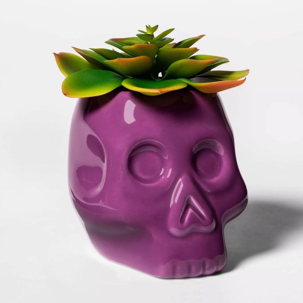 Purple Skull Halloween Succulent