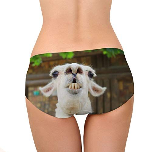 Alpaca Print Breathable Panties