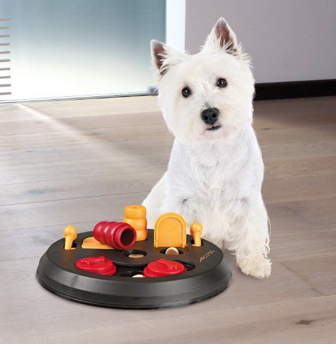 Trixie Pet Products Flip Board, Level 2