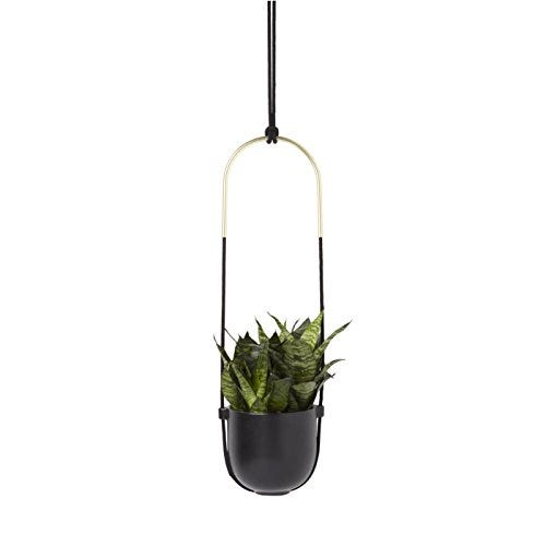 Umbra's Triflora Hanging Window Planter Indoor Herb Garden Review