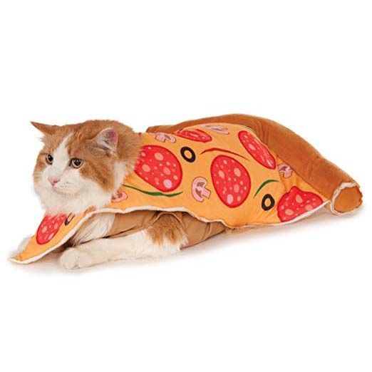 Pizza Pet Suit