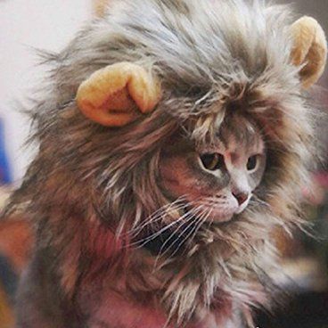 Lion Mane Costume for Cat