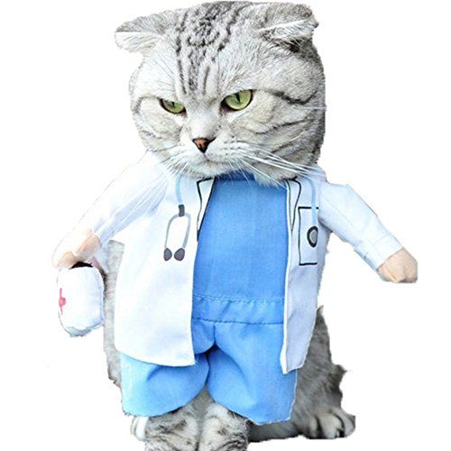 Cat Doctor Costume for Halloween