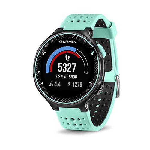 garmin aqua watch