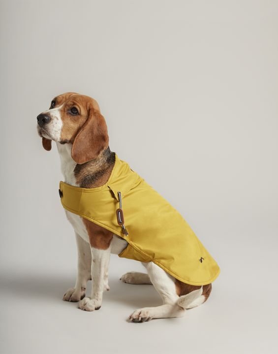 joules matching dog coats