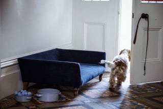 Cecil Dog Bed