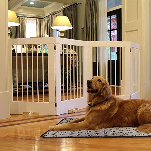 13 Best Heated Dog Beds To Keep Your Pup Super Cozy